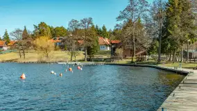 Wiosna w Wierzbie, kwiecień 2026 r. - zdjęcie 25