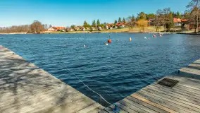 Wiosna w Wierzbie, kwiecień 2026 r. - zdjęcie 37