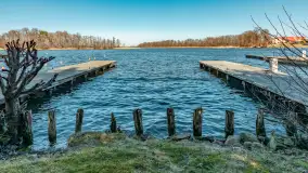 Wiosna w Wierzbie, kwiecień 2026 r. - zdjęcie 29