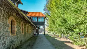 Wiosna w Wierzbie, kwiecień 2026 r. - zdjęcie 10