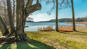 Wiosna w Wierzbie, kwiecień 2026 r. - zdjęcie 11