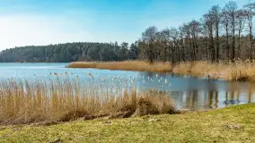 Wiosna w Wierzbie, kwiecień 2026 r. - zdjęcie 15