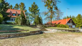 Wiosna w Wierzbie, kwiecień 2026 r. - zdjęcie 4