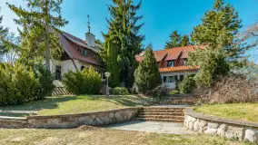 Wiosna w Wierzbie, kwiecień 2026 r. - zdjęcie 21