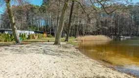 Wiosna w Wierzbie, kwiecień 2026 r. - zdjęcie 27