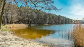 Wiosna w Wierzbie, kwiecień 2026 r. - zdjęcie 38