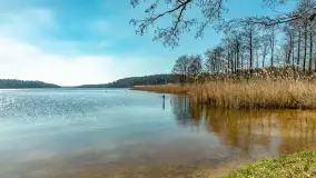 Wiosna w Wierzbie, kwiecień 2026 r. - zdjęcie 34