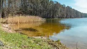 Wiosna w Wierzbie, kwiecień 2026 r. - zdjęcie 23