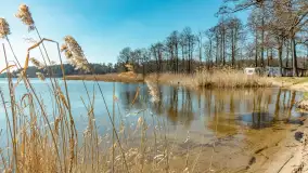 Wiosna w Wierzbie, kwiecień 2026 r. - zdjęcie 5