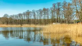 Wiosna w Wierzbie, kwiecień 2026 r. - zdjęcie 36