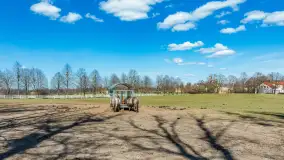 Koniki Polskie w Stacji Badawczej w Popielnie, kwiecień 2026 r. - zdjęcie 12