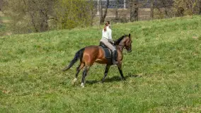 Wiosenna przejażdżka po mazurskich łąkach, kwiecień 2026 r. - zdjęcie 24