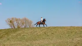 Wiosenna przejażdżka po mazurskich łąkach, kwiecień 2026 r. - zdjęcie 7