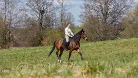 Wiosenna przejażdżka po mazurskich łąkach, kwiecień 2026 r. - zdjęcie 19