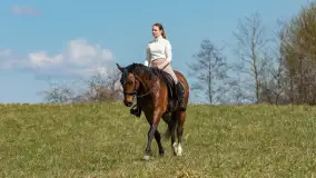 Wiosenna przejażdżka po mazurskich łąkach, kwiecień 2026 r. - zdjęcie 15