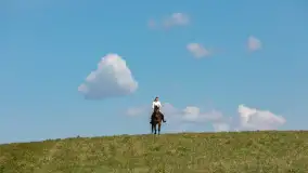 Wiosenna przejażdżka po mazurskich łąkach, kwiecień 2026 r. - zdjęcie 14