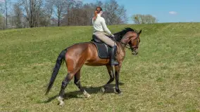 Wiosenna przejażdżka po mazurskich łąkach, kwiecień 2026 r. - zdjęcie 21