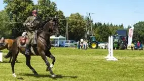 Zdjęcia: Zimnokrwiste rozgrzały serca publiczności - zdjęcie 24