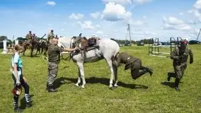 Zdjęcia: Zimnokrwiste rozgrzały serca publiczności - zdjęcie 19