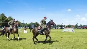 Zdjęcia: Zimnokrwiste rozgrzały serca publiczności - zdjęcie 18