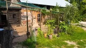 Zdjęcia: Hulańce i swojskie jadło w doborowym towarzystwie - zdjęcie 58