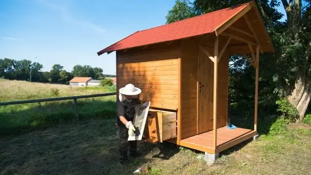 Zdjęcia: Odwiedzamy leśną pasiekę, czyli Mazury na słodko - zdjęcie 10