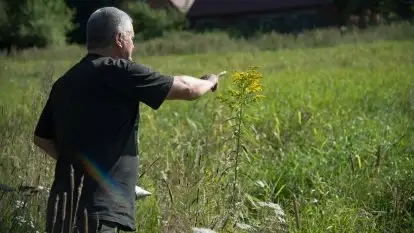 Zdjęcia: Odwiedzamy leśną pasiekę, czyli Mazury na słodko