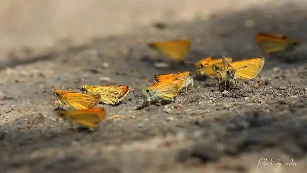 Zdjęcia: Miłośnicy Mazur - magia w zdjęciach Grzegorza - zdjęcie 11