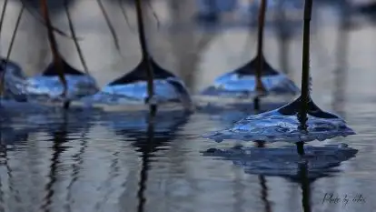 Zdjęcia: Miłośnicy Mazur - magia w zdjęciach Grzegorza