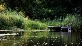 Zdjęcia: Miłośnicy Mazur - Zwykłe, czy niezwykłe... życie - zdjęcie 40