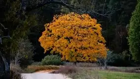 Zdjęcia: Miłośnicy Mazur - Zwykłe, czy niezwykłe... życie - zdjęcie 33