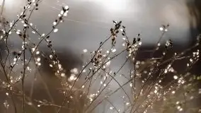 Zdjęcia: Miłośnicy Mazur - Zwykłe, czy niezwykłe... życie - zdjęcie 32