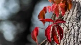 Zdjęcia: Miłośnicy Mazur - Zwykłe, czy niezwykłe... życie - zdjęcie 12