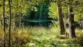 Zdjęcia: Miłośnicy Mazur - Zwykłe, czy niezwykłe... życie - zdjęcie 10