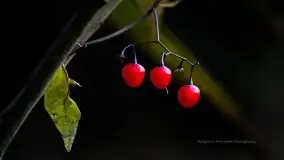 Zdjęcia: Miłośnicy Mazur - Zwykłe, czy niezwykłe... życie - zdjęcie 4