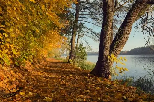 Zdjęcia: Miłośnicy Mazur - Olecko i okolice na zdjęciach Justyny - zdjęcie 3