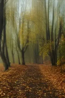 Zdjęcia: Miłośnicy Mazur - Olecko i okolice na zdjęciach Justyny - zdjęcie 6
