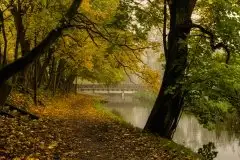 Zdjęcia: Miłośnicy Mazur - Olecko i okolice na zdjęciach Justyny - zdjęcie 14