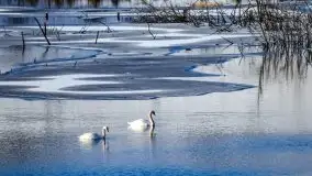 Zdjęcia: Ferie za pasem a zasp ze śniegu nie widać - zobacz zdjęcia - zdjęcie 13