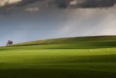 Zdjęcia: Miłośnicy Mazur - zobacz piękno niesamowitej mazurskiej przyrody - zdjęcie 34