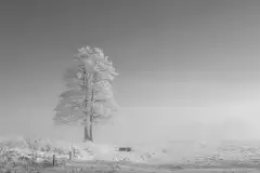 Zdjęcia: Miłośnicy Mazur - zobacz piękno niesamowitej mazurskiej przyrody - zdjęcie 22