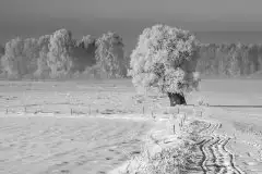 Zdjęcia: Miłośnicy Mazur - zobacz piękno niesamowitej mazurskiej przyrody - zdjęcie 21