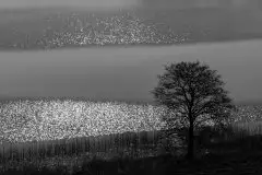 Zdjęcia: Miłośnicy Mazur - zobacz piękno niesamowitej mazurskiej przyrody - zdjęcie 12