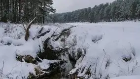 Zima na zdjęciach Tadeusza Sakowskiego - zdjęcie 18