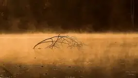 Zdjęcia: Miłośnicy Mazur, dzisiaj zdjęcia Stanisława Sielewicza - zdjęcie 26