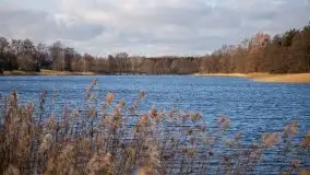 Styczniowe Wydminy bez śniegu w środku zimy - zdjęcie 44