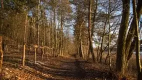 Styczniowe Wydminy bez śniegu w środku zimy - zdjęcie 29