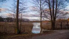 Styczniowe Wydminy bez śniegu w środku zimy - zdjęcie 22