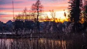 Styczniowe Wydminy bez śniegu w środku zimy - zdjęcie 15