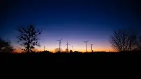 Styczniowe Wydminy bez śniegu w środku zimy - zdjęcie 10